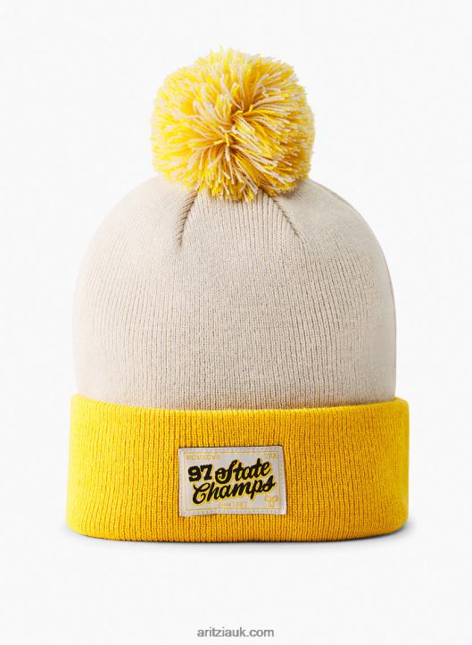 Aritzia Tora Beanie NZX00010712 Cuffed Beanie