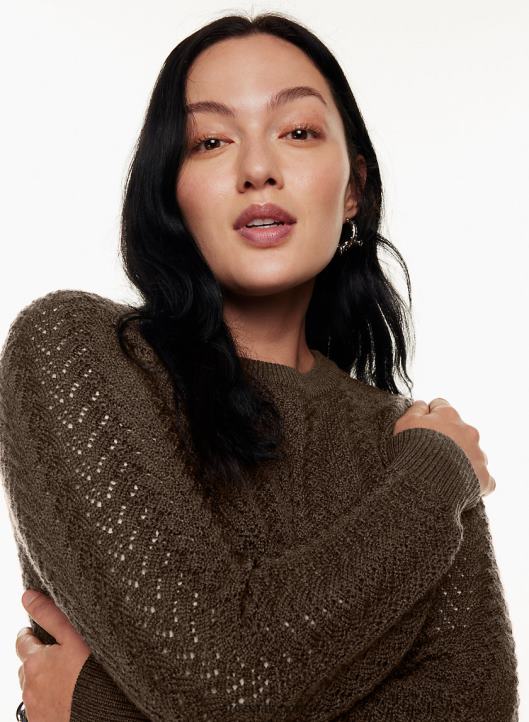 Aritzia Arbor Sweater NZX0003872 Relaxed Merino Wool Sweater