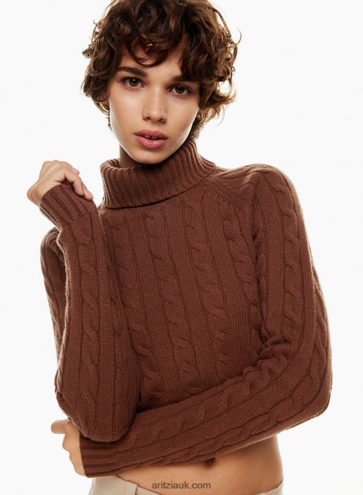 Aritzia Jones Sweater NZX00010971 Cable-Knit Turtleneck Sweater